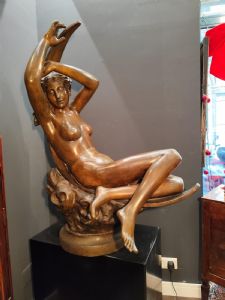 Foto 7